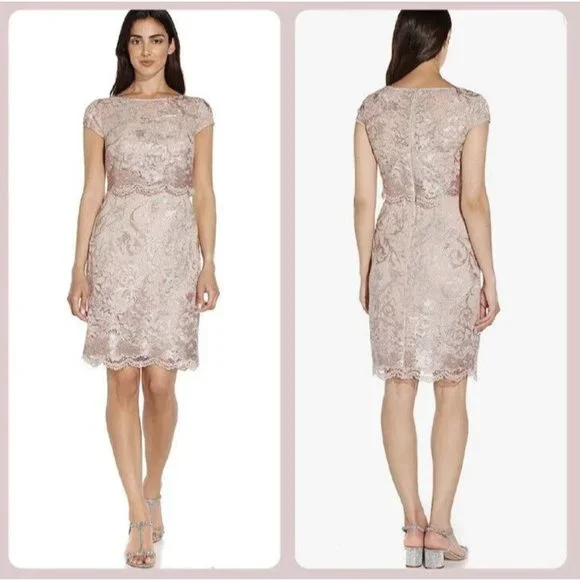 NWT Adrianna Papell Dusty Rose Embroidered Lace Popover Dress Size 2 NEW - Picture 1 of 15
